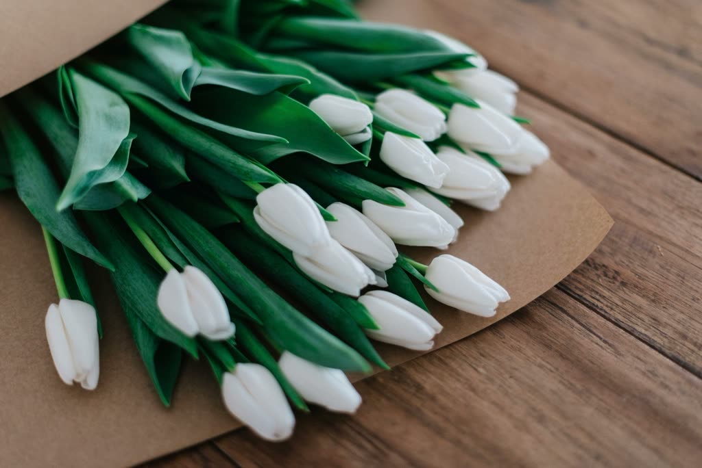 White tulips with green leaves on a wooden surface